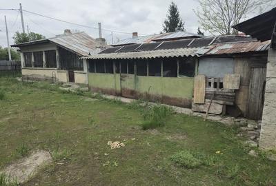 Casă cu Teren 2700 Mp în Dărăști-Vlașca - 3