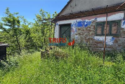 Casă individuală cu 2 camere cu Teren 1493 Mp în Vințu de Jos