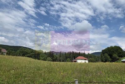 Casă individuală cu 7 camere cu Canalizare în Valea Doftanei - 34
