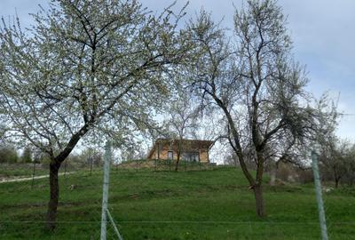 Teren de 3000 mp, în Căpățânenii Pământeni - 2