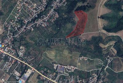 Teren agricol extravilan de 56362 mp, în Ștefănești - 1