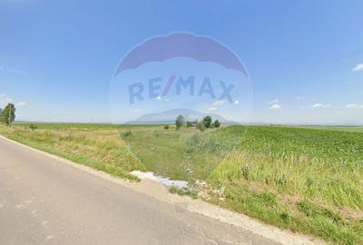 Teren extravilan de 9750 mp, în Hălchiu - 2