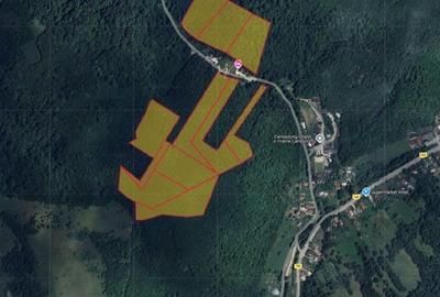 Teren de 171640 mp, în Bughea de Sus