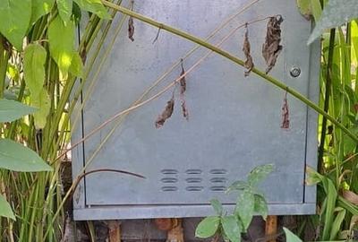 Teren în Central