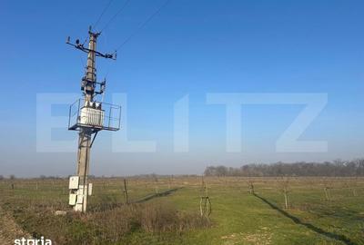 Teren de 405000 mp, în Ivești - 7