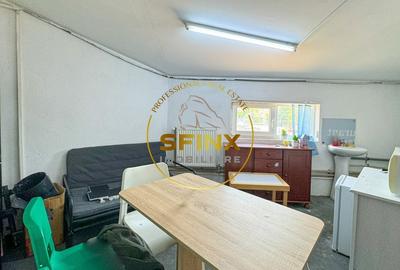 Spațiu industrial, de 103.34999847412 mp, în Theodor Pallady - 15