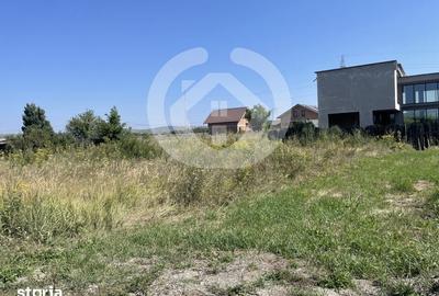 Teren de 500 mp, în Veterani - 1