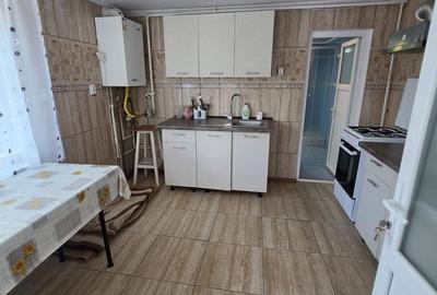 Casă cu 6 camere cu Teren 557 Mp în Berceni - 14