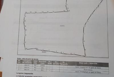 Teren de 25000 mp, în Plai - 2