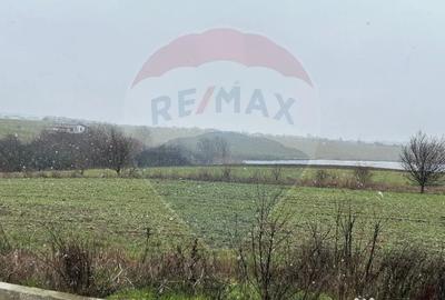 Casă cu 4 camere cu Teren 560 Mp în Balotești