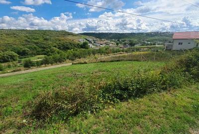 Teren de 1000 mp, în Săldăbagiu de Munte - 1