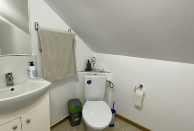 Casă individuală cu 3 camere cu Canalizare în Dascălu - 12