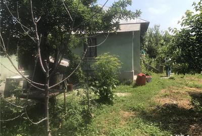 Casă cu 4 camere cu Teren 1000 Mp în Melinești - 1