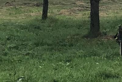 Teren de 1100 mp, în Vâlcele - 6