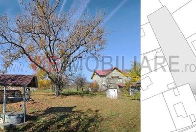 Teren de 3163 mp, în Brebu - 10