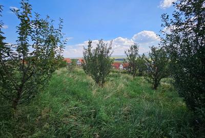 Teren de 900 mp, în Aiton - 2
