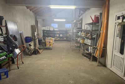Spațiu comercial, de 600 mp, în Grivița