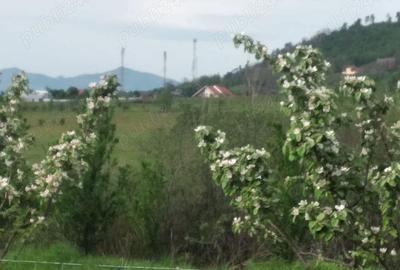 Teren de 2500 mp, în Central - 1
