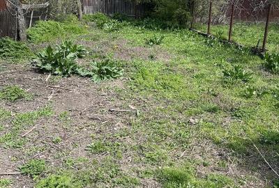 Casă cu 4 camere cu Teren 800 Mp în Crevedia Mică - 6