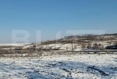 Teren de 79000 mp, în Central - 4