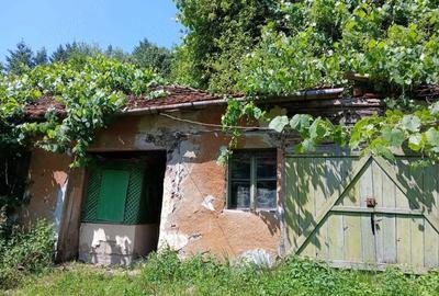 Casă cu 4 camere în Slatina de Mureș - 4