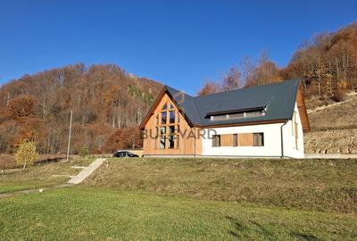 Casă individuală cu 8 camere cu Teren 6300 Mp în Groșii Țibleșului - 33