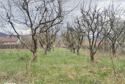 Casă cu 3 camere cu Canalizare în Săcel - 1