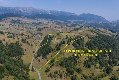 Teren Construcții intravilan de 150000 mp, în Șirnea - 3