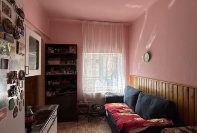 Apartament cu 2 camere semidecomandat, mobilat în Iosefin - 3