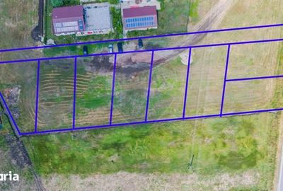 Teren de 4000 mp, în Muntenii de Sus - 6