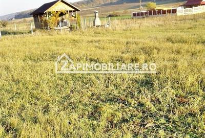 Teren Construcții intravilan de 780 mp, în Livezeni - 11