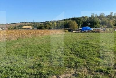 Teren de 985 mp, în Mihai Eminescu