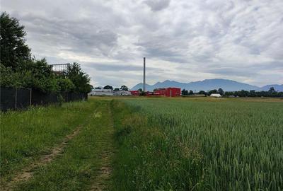 Teren de 4530 mp, în Triaj - 3