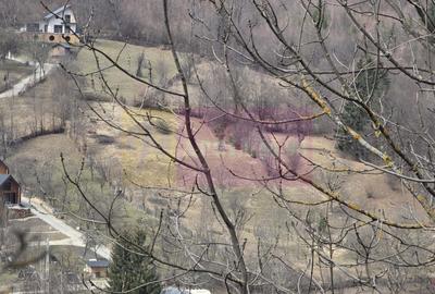 Teren Construcții intravilan de 2500 mp, în Valea Doftanei - 11