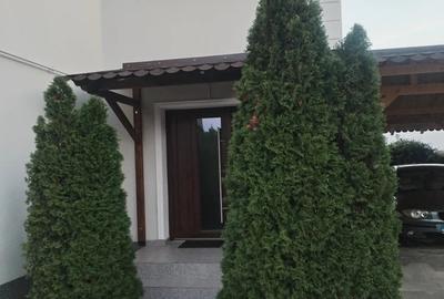 Casă cu 4 camere cu Teren 1500 Mp în Vinga - 8