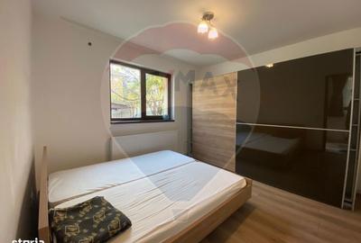 Casă cu 2 camere cu Teren 150 Mp în Dâmbul Rotund - 3