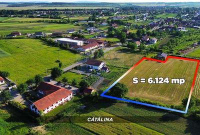 Teren Construcții intravilan de 6200 mp, în Coltău - 3