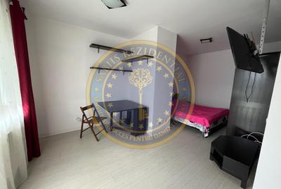Garsonieră semidecomandată în Valea Ialomiței - 8