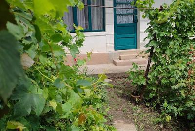 Casă cu 2 camere în Sărulești