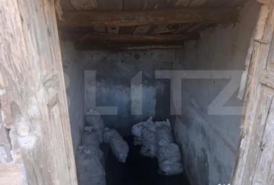 Casă cu 2 camere cu Teren 5000 Mp în Mogoșani - 7