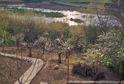 Casă individuală cu 4 camere cu Canalizare în Frumușani