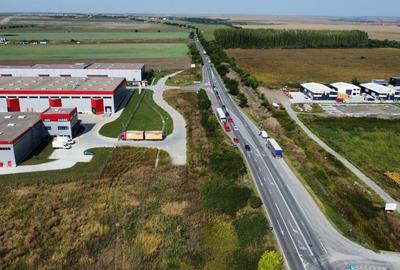 Teren Construcții intravilan de 4510 mp, în Sânandrei - 7