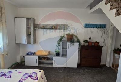 Casă individuală cu 6 camere cu Garaj în Mișca - 25