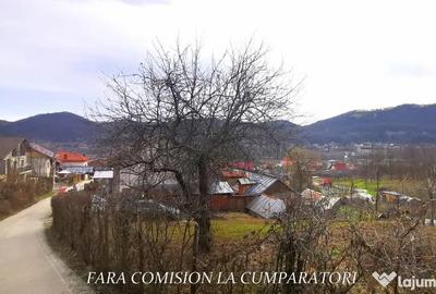 Teren în Vlădesti - 6