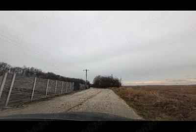 Teren în Dârvari - 4