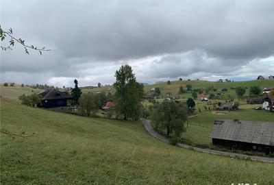 Teren de 5317 mp, în Șirnea - 2