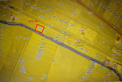 Teren agricol extravilan de 3200 mp, în Bordești - 2
