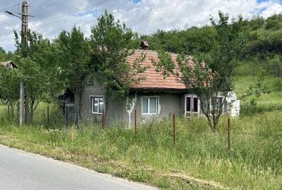 Casă cu 2 camere în Morău - 3