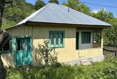 Casă cu 3 camere în Jitia