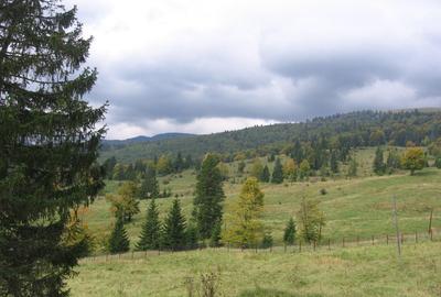 Teren de 1634 mp, în Central - 2